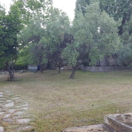 Blue Appartment Nea Iraklitsa Εξωτερικό φωτογραφία